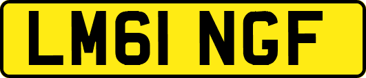 LM61NGF