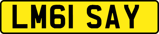 LM61SAY