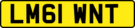 LM61WNT