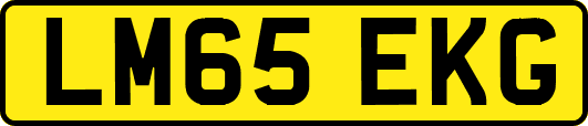 LM65EKG