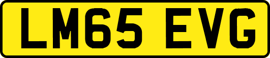LM65EVG