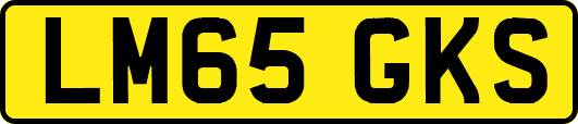 LM65GKS