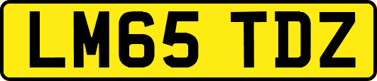 LM65TDZ