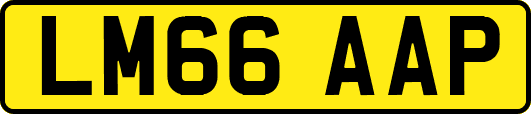 LM66AAP