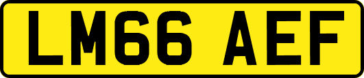 LM66AEF