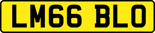 LM66BLO