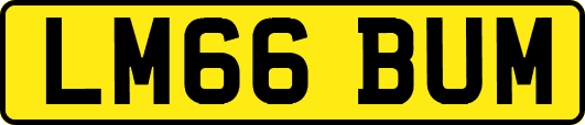 LM66BUM