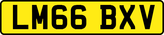 LM66BXV