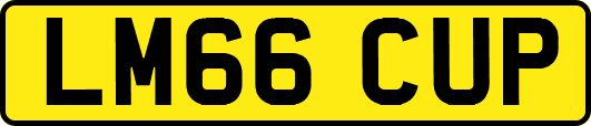 LM66CUP