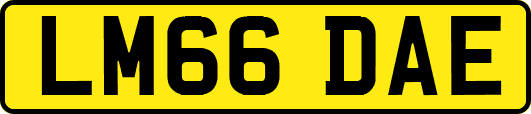 LM66DAE