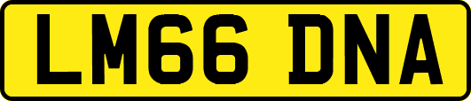 LM66DNA