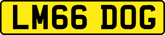 LM66DOG