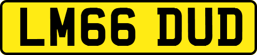 LM66DUD