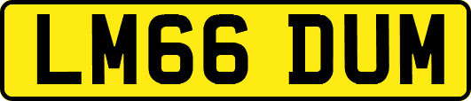 LM66DUM