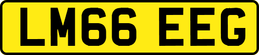 LM66EEG