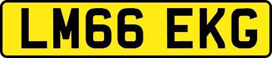 LM66EKG