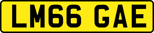 LM66GAE