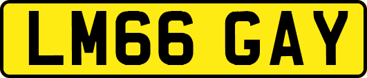 LM66GAY