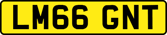LM66GNT