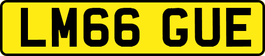 LM66GUE