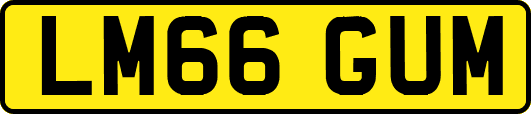 LM66GUM