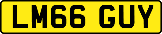 LM66GUY
