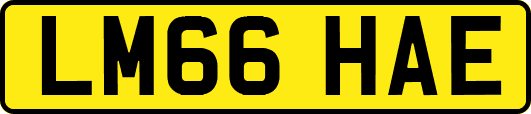 LM66HAE