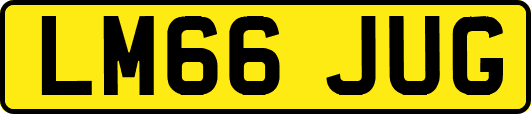 LM66JUG