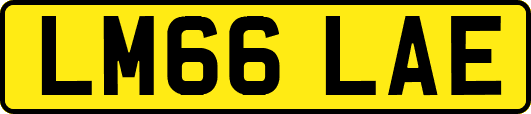 LM66LAE