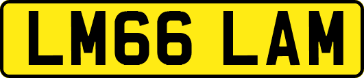 LM66LAM