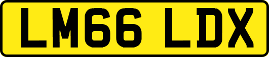LM66LDX