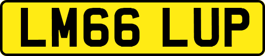 LM66LUP