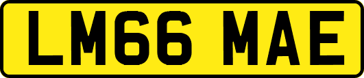 LM66MAE