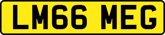 LM66MEG
