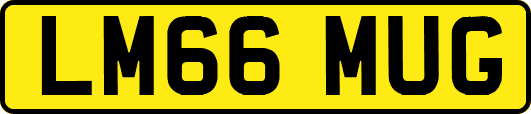 LM66MUG