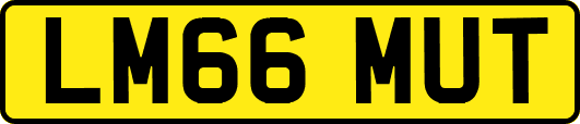 LM66MUT
