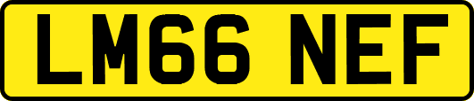 LM66NEF
