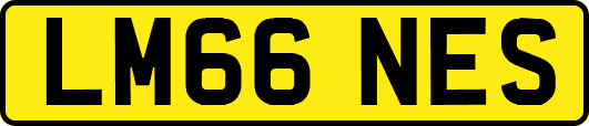 LM66NES