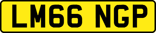 LM66NGP