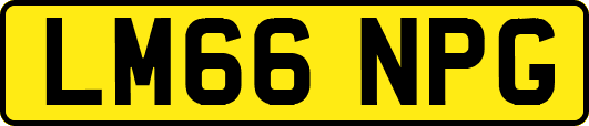 LM66NPG