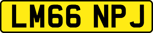 LM66NPJ