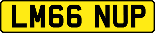 LM66NUP