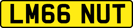 LM66NUT