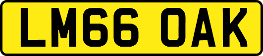 LM66OAK