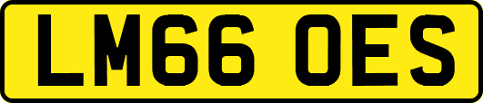 LM66OES