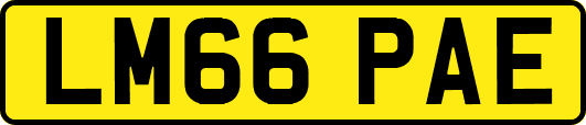 LM66PAE