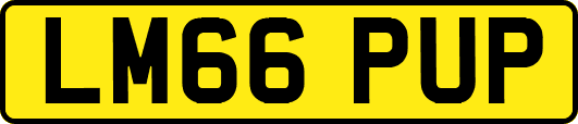LM66PUP