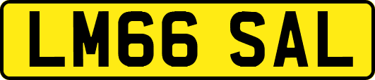 LM66SAL