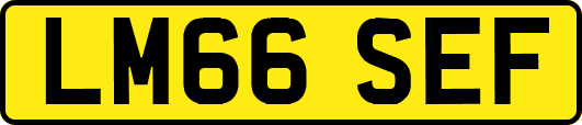 LM66SEF