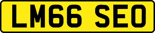 LM66SEO